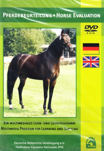 DVD Pferdebeurteilung (auf Reitsport bezogen)
